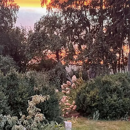 1 Bedroom Cozy In Appartamento